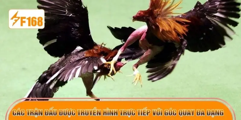 Các trận đấu được truyền hình trực tiếp với góc quay đa dạng